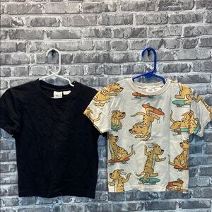Zara T-shirts